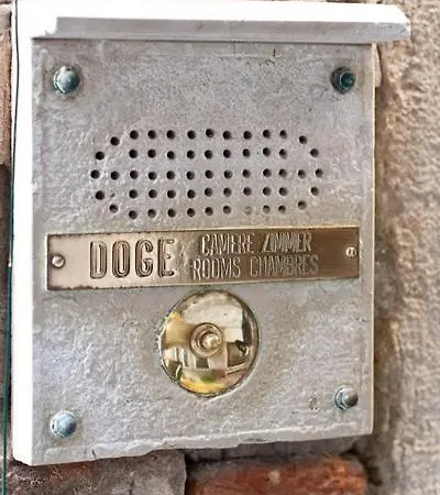 Doge 3*