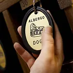 Doge